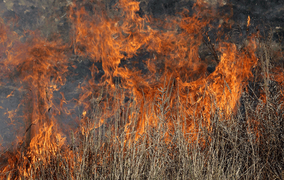 <span style='color:red;'><b>ZLATIBORSKI OKRUG</b></span> U PLAMENU I DIMU! Vatrogasci se tri dana bore protiv  UŽASNE VATRENE STIHIJE!
